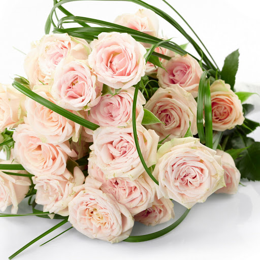 Hd-171073-ascw171073