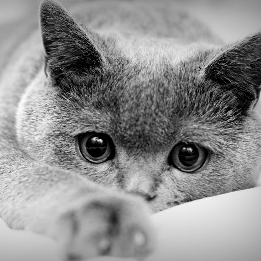 Hd-158881-ascw158881