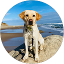 Lauren Doninger profile picture