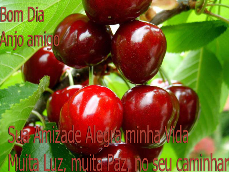 vcalegraminhavida.png