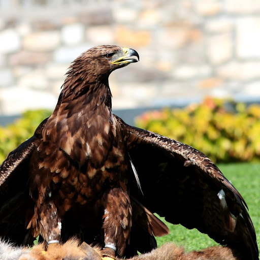 Hd-178157-ascw178157