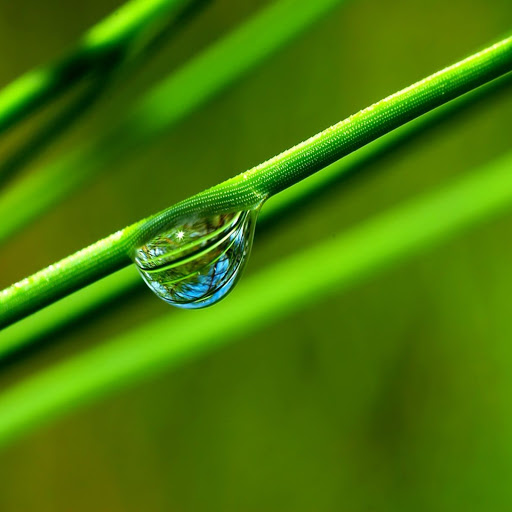 Hd-151433-ascw151433