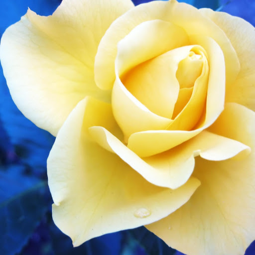 Hd-143827-ascw143827