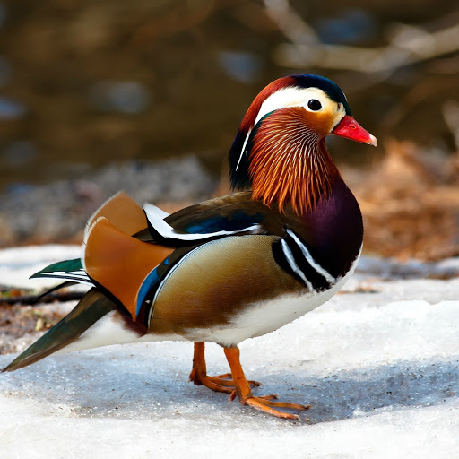 Hd-157367-ascw157367