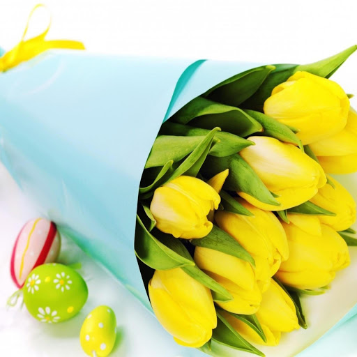 Hd-169610-ascw169610