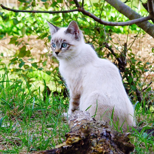 Hd-176352-ascw176352