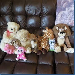 Stuffed animals for sale or rent. 