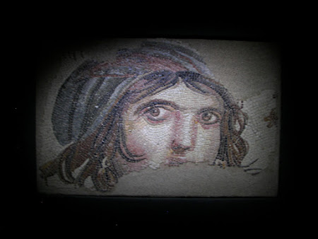 Imagini Anatolia: mozaic Alexandru cel Mare sau tiganca din Zeugma