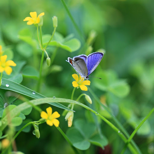 Hd-164578-ascw164578