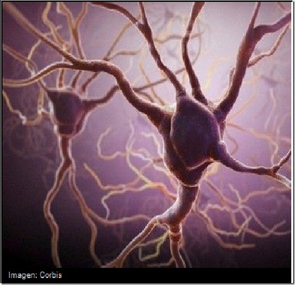 neurona a