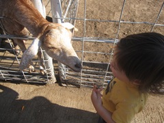 IMG_8694 IMG_8694
