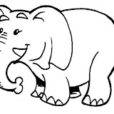 elefante.jpg