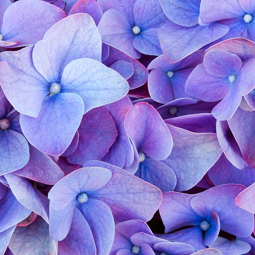 Hd-185997-ascw185997