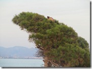 IMG_5677 IMG_5677