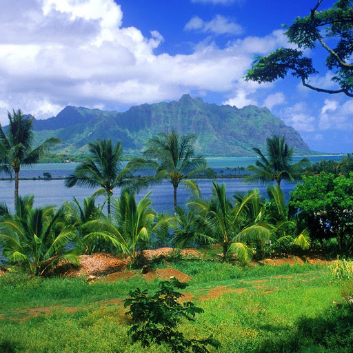 Hd-133228-ascw133228