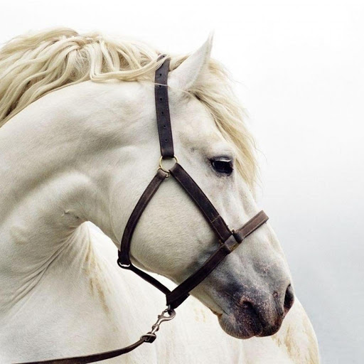 Hd-173499-ascw173499