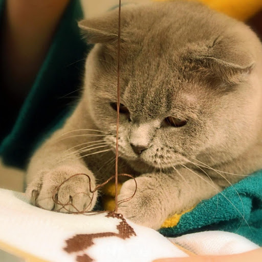 Hd-142456-ascw142456