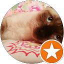 #blanqui&alma# gatitos profile picture