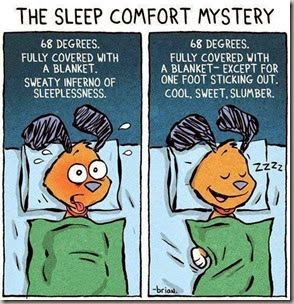 sleep mystery