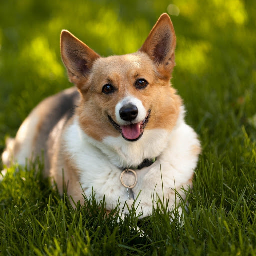 Hd-175875-ascw175875