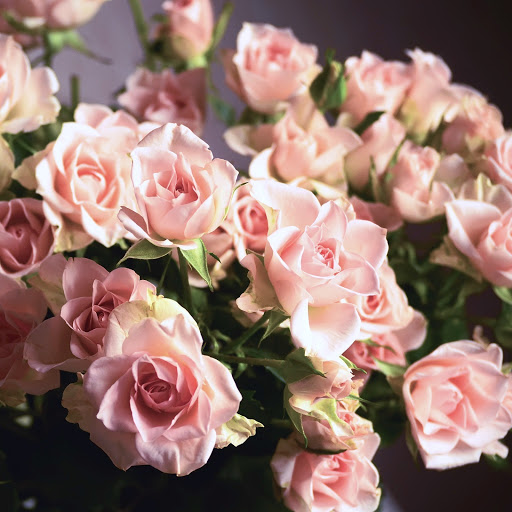 Hd-142023-ascw142023