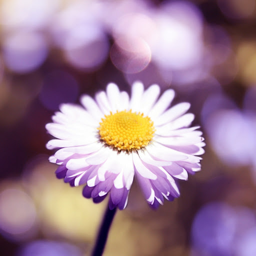 Hd-172723-ascw172723