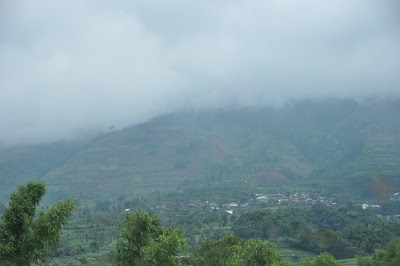 DSC_0436.JPG