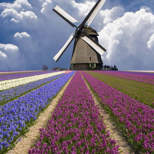 Hd-148288-ascw148288