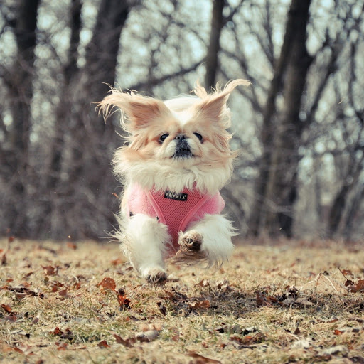 Hd-179954-ascw179954