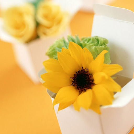 Hd-138058-ascw138058