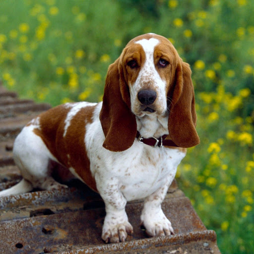 Hd-182238-ascw182238