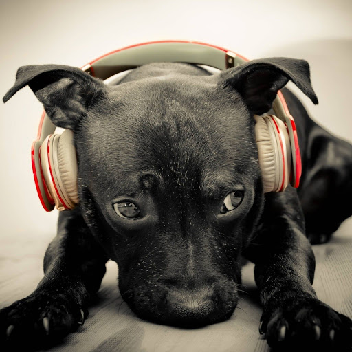 Hd-157552-ascw157552