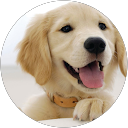Carol Pieremont profile picture