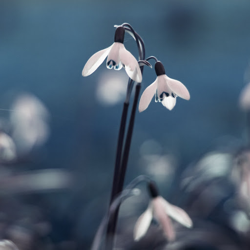 Hd-169896-ascw169896