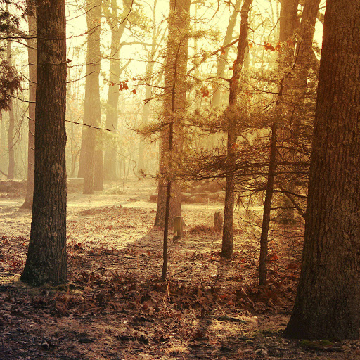 Hd-137296-ascw137296