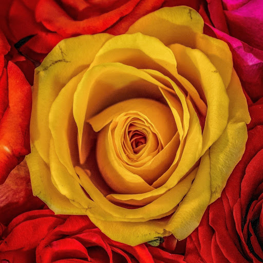 Hd-180223-ascw180223