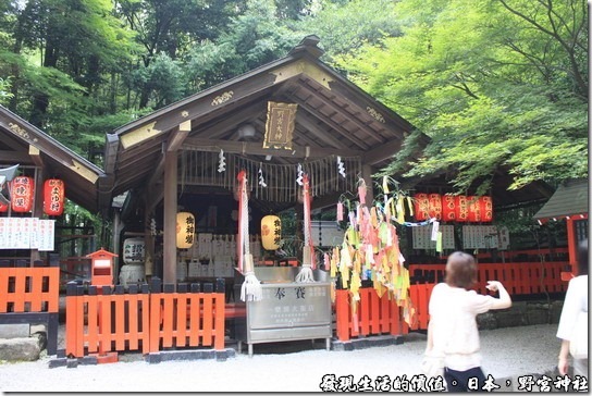 日本-野宮神社，中央正殿供奉的的是主宰健康及智慧之神的「野宮大神(天照大神)」。