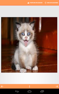 How to mod Imagenes Graciosas de Gatos patch 1.2 apk for laptop