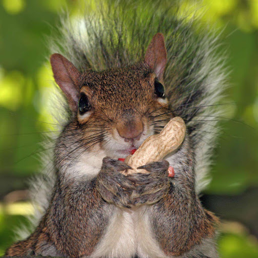 Hd-154251-ascw154251