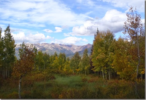 Mountains and Aspen