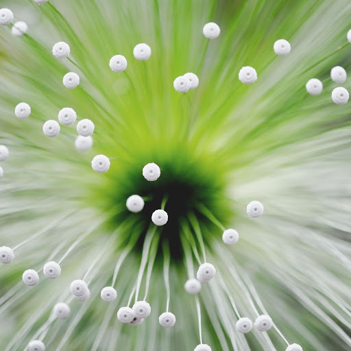 Hd-162292-ascw162292