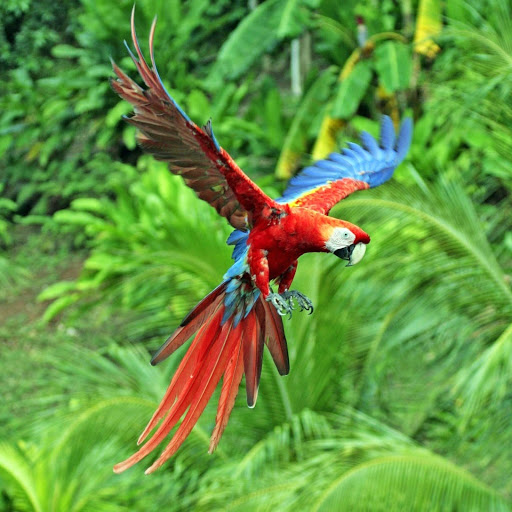 Hd-142780-ascw142780