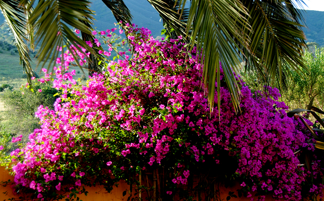 [image%255B102%255D.png]