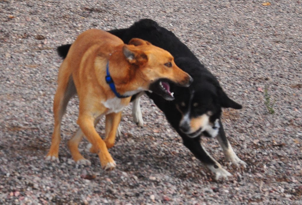 [DSC_0002%255B3%255D.jpg]