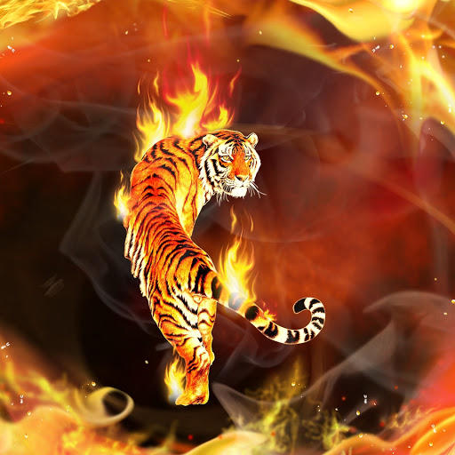 Hd-151256-ascw151256