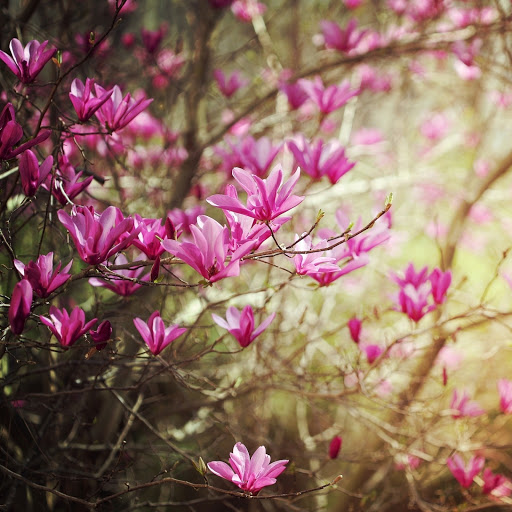 Hd-144754-ascw144754