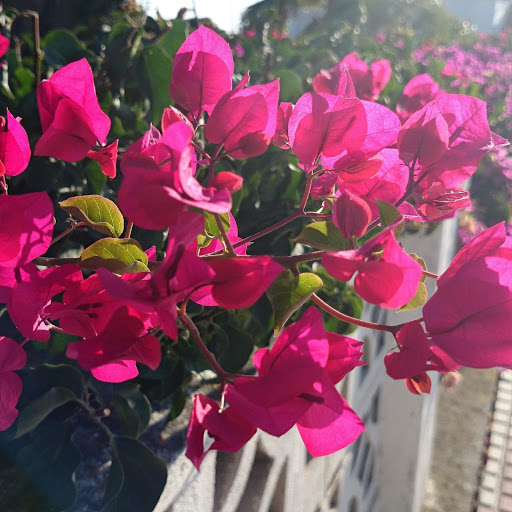 Hd-168318-ascw168318