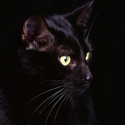 Hd-140529-ascw140529