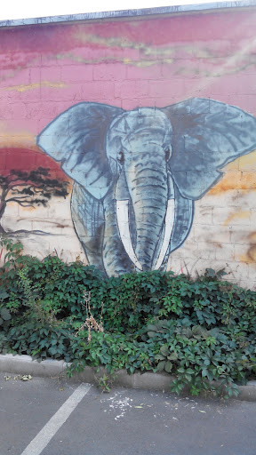 Графити Слон