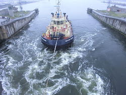 2013-09-10 MSC Magnifica - 232